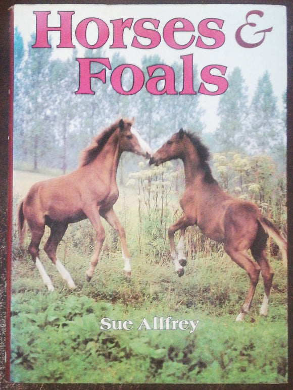 Horses and Foals by Sue Allfrey