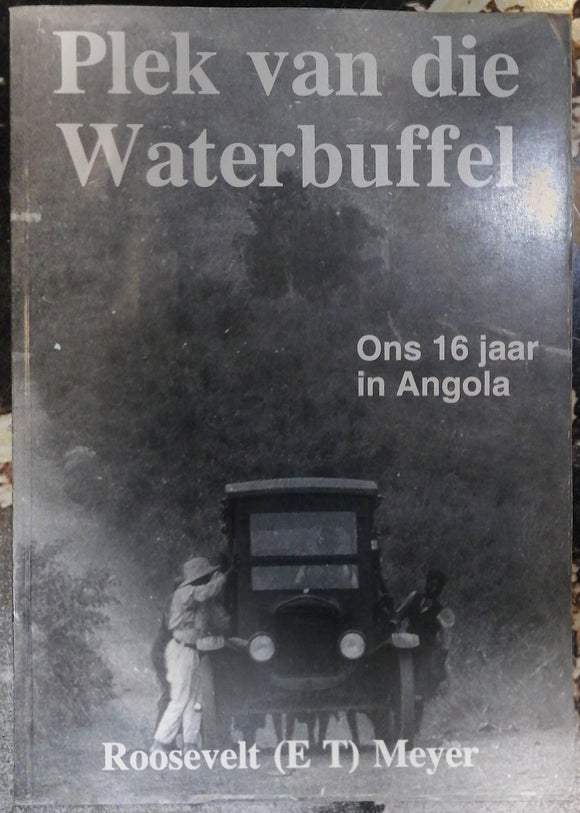 Plek van die Waterbuffel Ons 16 jaar in Angola by Roosevelt Meyer