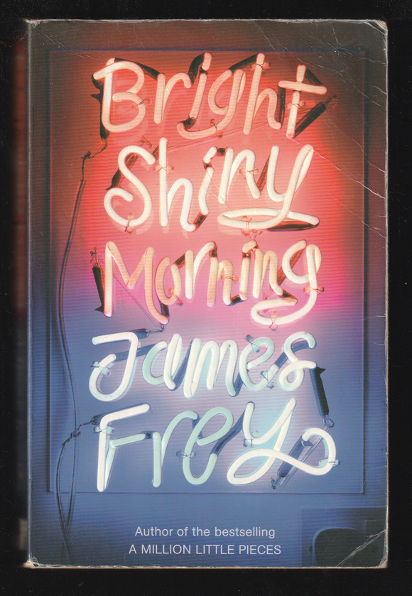 Bright Shiny Morning by James Frey