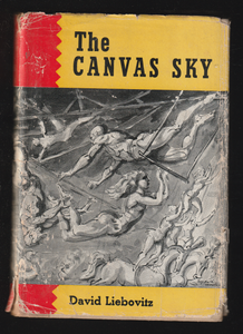 The Canvas Sky by David Liebovitz