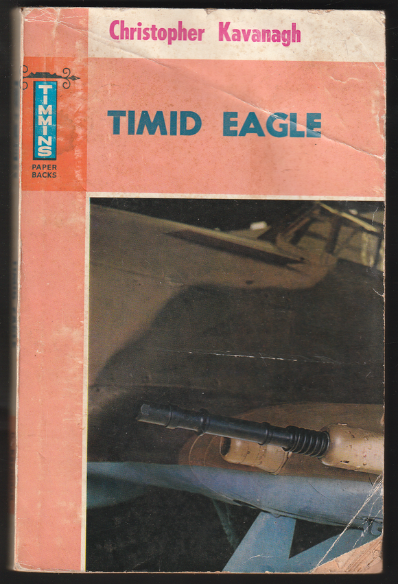 Timid Eagle By Christopher Kavanagh