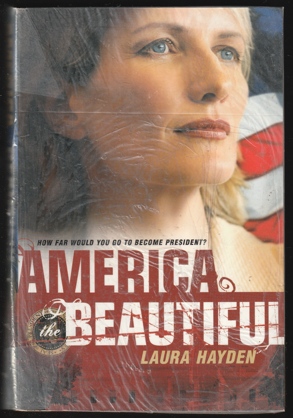 America The Beautiful By Laura Hayden