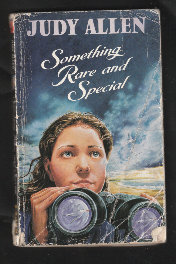 Something Rare and Special by Judy Allen