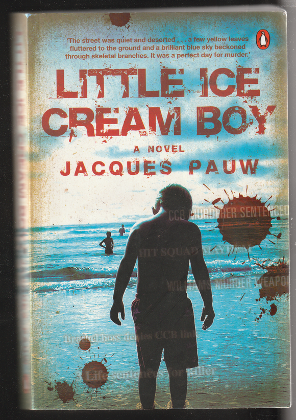 Little Ice Cream Boy by Jacques Pauw