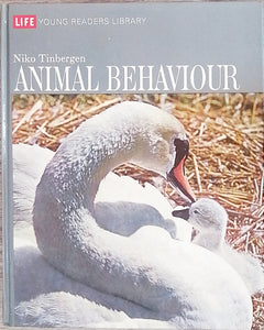 Animal Behaviour