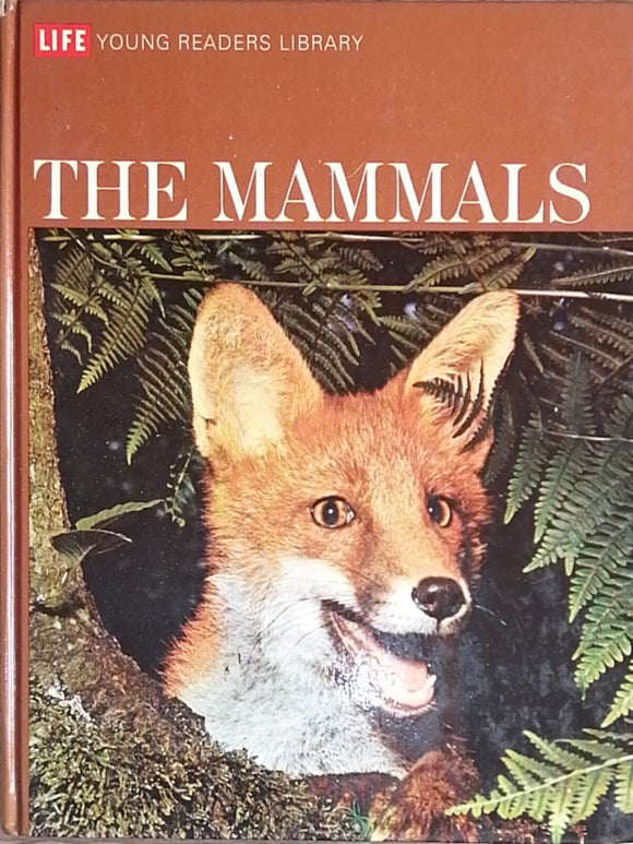 The Mammals