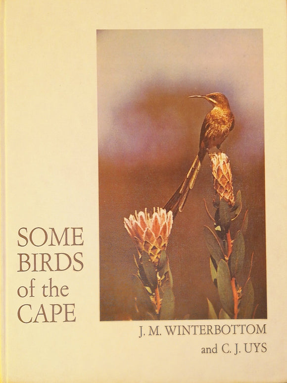 Some Birds Of The Cape