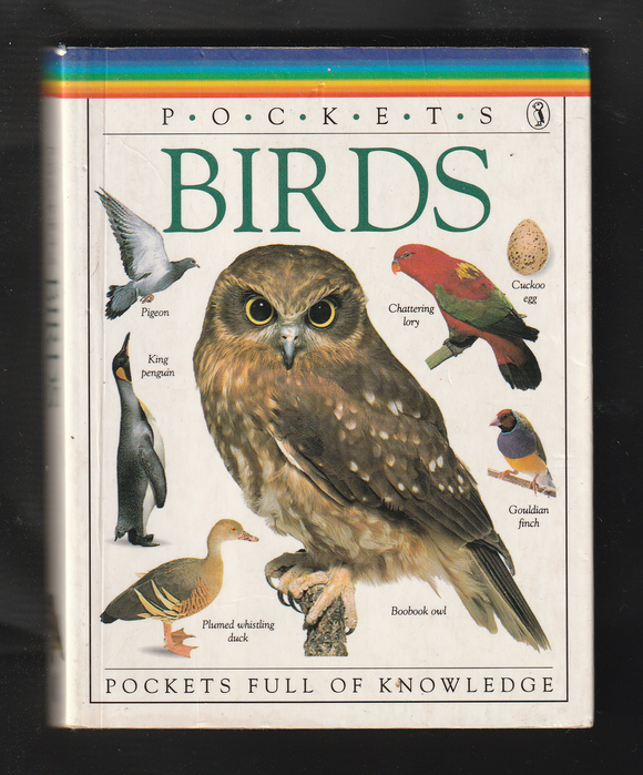 Pockets Birds
