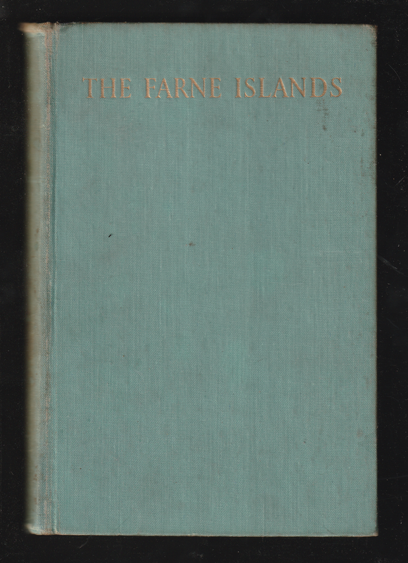 The Farne Islands by Grace Watt