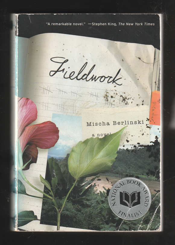 Fieldwork by Mischa Berlinski