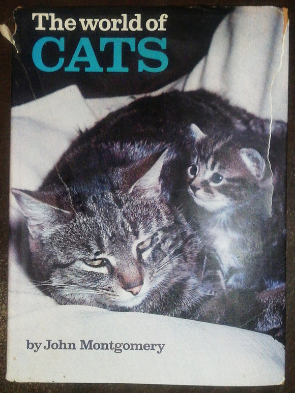 The World Of Cats By John Montgomery