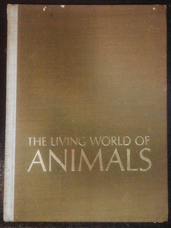 The Living World Of Animals