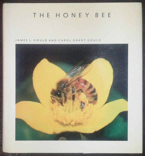 The Honey Bee By James L. Gould & Carol Grant Gould