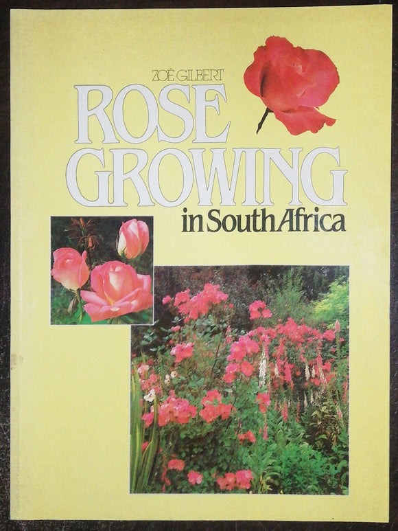 Rose Growing In South Africa By Zoe Gilbert