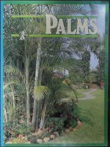 Palms By Jennifer Simpson