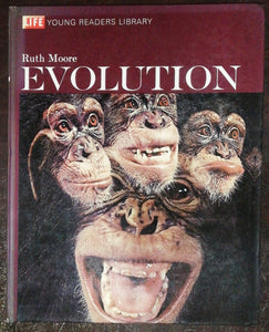 Evolution By Ruth Moore