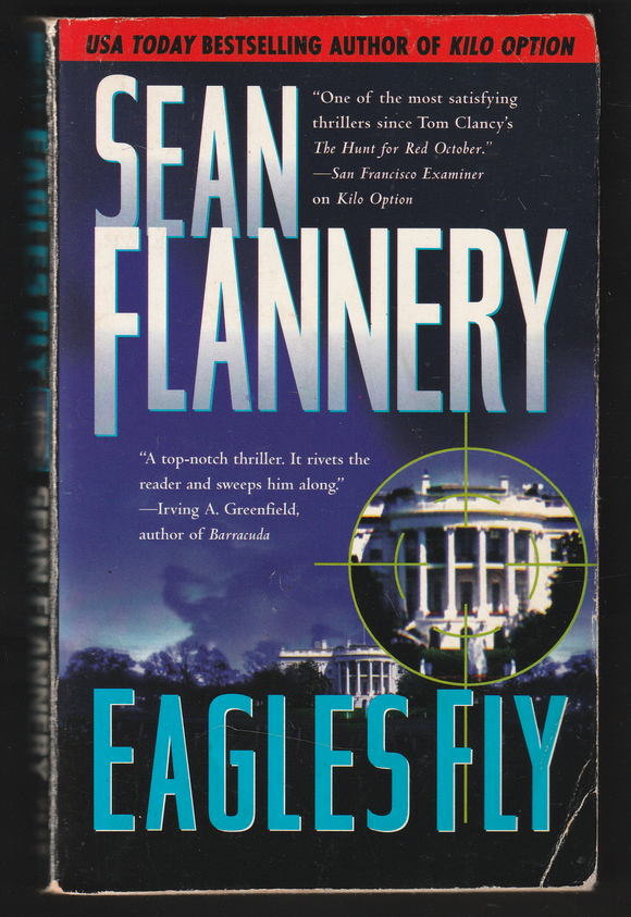 Eagles Fly By Sean Flannery